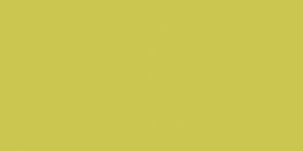 Obklad Rako Color One žlutozelená 20x40