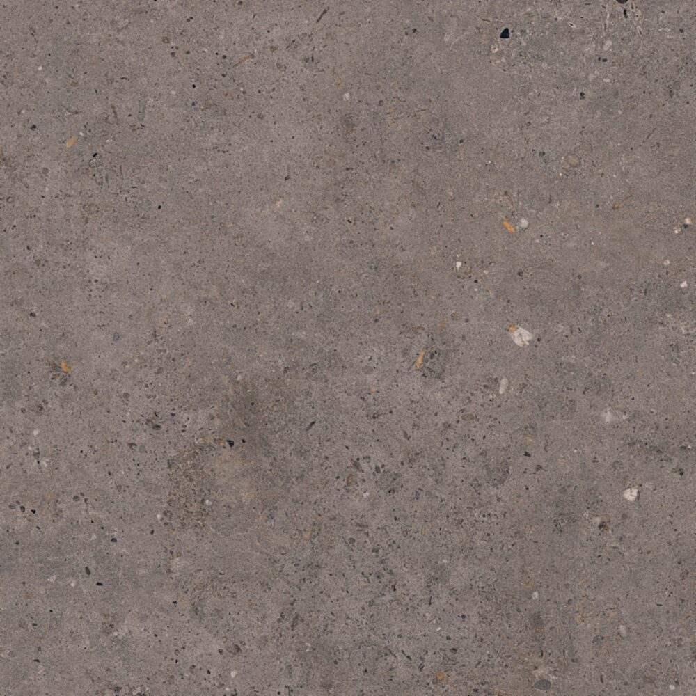 Dlažba Pastorelli Biophilic dark grey 60x60 cm mat