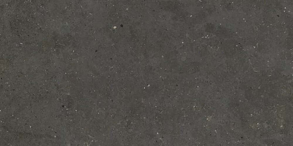 Dlažba Graniti Fiandre Solida black 100x100